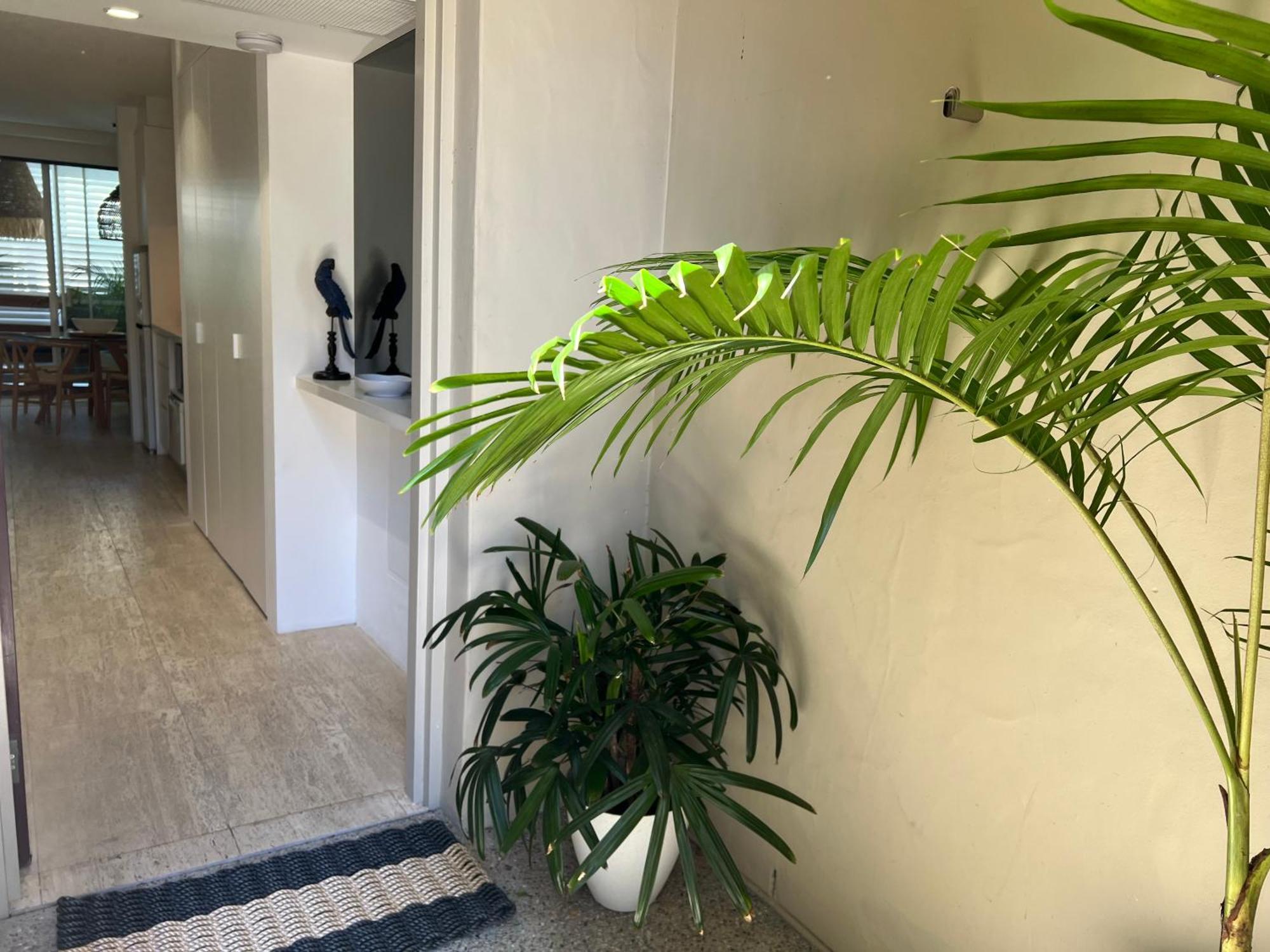 Carramah Noosa Heads Apartment Buitenkant foto